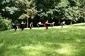DSC03519